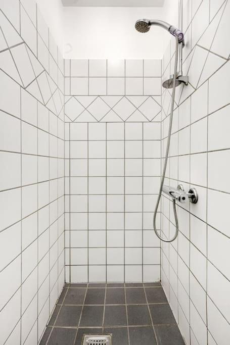 Apartamento Charming In Copenhague